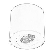 Surface Mounted Ceiling Light